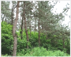  2025Ÿ51438   ȭ ̸ 651-1      (Ӿ)