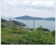  2025Ÿ51438   ȭ ̸ 651-1      (Ӿ)