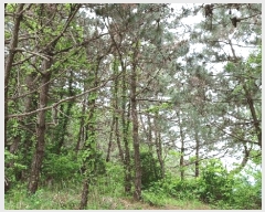  2025Ÿ51438   ȭ ̸ 651-1      (Ӿ)