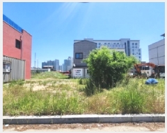  2025Ÿ51498    1142-2       ()