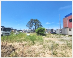  2025Ÿ51498    1142-2       ()