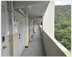  2025Ÿ��51582  ����Ʈ���