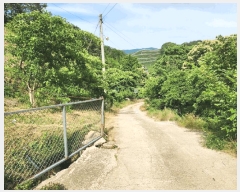  2025Ÿ51588    ߻긮 32-5      (Ӿ)