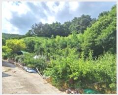  2025Ÿ51588    ߻긮 32-5      (Ӿ)