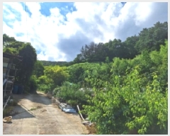  2025Ÿ51588    ߻긮 32-5      (Ӿ)