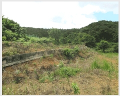  2025Ÿ��51606 ���� ������ ������ 855-15       ����(�Ӿ�)���