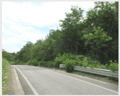  2025Ÿ��51606 ���� ������ ������ 855-15       ����(�Ӿ�)���