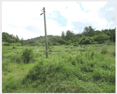  2025Ÿ��51606 ���� ������ ������ 855-15       ����(�Ӿ�)���