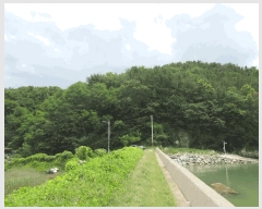  2025Ÿ��51606 ���� ������ ������ 855-15       ����(�Ӿ�)���