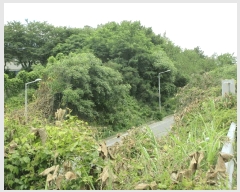  2025Ÿ��51606 ���� ������ ������ 855-15       ����(�Ӿ�)���