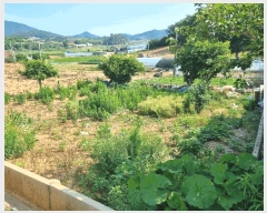  2025Ÿ��51625 ���� ���ﱺ �ݻ�� ���̸� 881      ����(��1)���