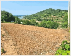  2025Ÿ��51625 ���� ���ﱺ �ݻ�� ���̸� 881      ����(��1)���