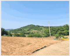  2025Ÿ��51625 ���� ���ﱺ �ݻ�� ���̸� 881      ����(��1)���