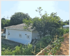  2025Ÿ��51625 ���� ���ﱺ �ݻ�� ���̸� 881      ����(��1)���