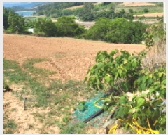  2025Ÿ��51625 ���� ���ﱺ �ݻ�� ���̸� 881      ����(��1)���