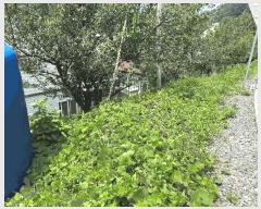  2025Ÿ51660   پи õ 60      ()