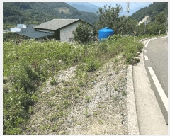  2025Ÿ51660   پи õ 60      ()