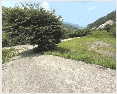  2025Ÿ51660   پи õ 60      ()