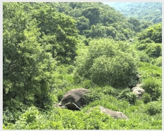  2025Ÿ51660   پи õ 60      ()