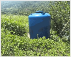  2025Ÿ51660   پи õ 60      ()