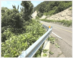  2025Ÿ51660   پи õ 60      ()