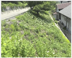  2025Ÿ51660   پи õ 60      ()