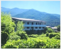  2025Ÿ��51696  ���ڽü����