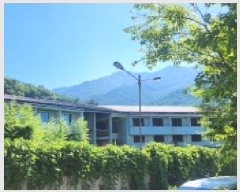  2025Ÿ��51696  ���ڽü����