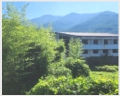  2025Ÿ��51696  ���ڽü����