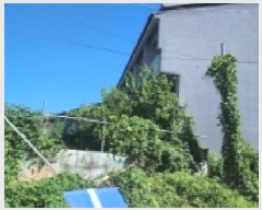  2025Ÿ��51696  ���ڽü����