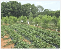  2025Ÿ��51702  �����