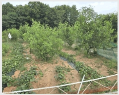  2025Ÿ��51702  �����