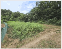  2025Ÿ��51702  �����