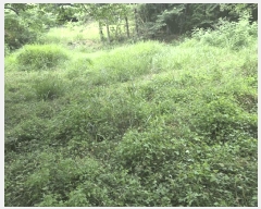  2025Ÿ��51702  �����