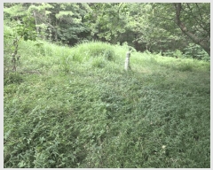  2025Ÿ��51702  �����