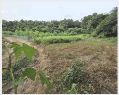  2025Ÿ��51702  �����