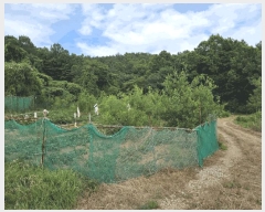  2025Ÿ��51702  �����