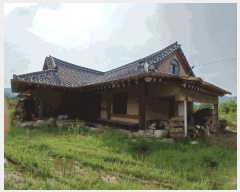  2025Ÿ51708     49      ð