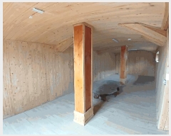  2025Ÿ51708     49      ð