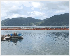  2025Ÿ��51723  ����ǰ��