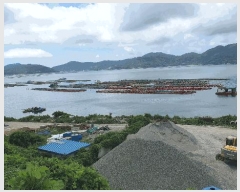  2025Ÿ��51723  ����ǰ��