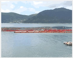  2025Ÿ��51723  ����ǰ��