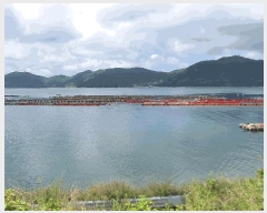  2025Ÿ��51723  ����ǰ��