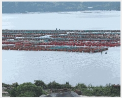  2025Ÿ��51723  ����ǰ��