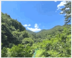  2025Ÿ��51792 ���� ��õ�� ���� �Ǳ��� ��208      ����(�Ӿ�)���