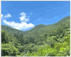  2025Ÿ��51792 ���� ��õ�� ���� �Ǳ��� ��208      ����(�Ӿ�)���