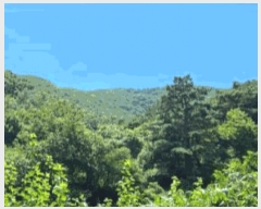  2025Ÿ��51792 ���� ��õ�� ���� �Ǳ��� ��208      ����(�Ӿ�)���