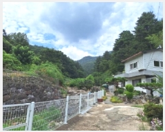  2025Ÿ��51792 ���� ��õ�� ���� �Ǳ��� ��208      ����(�Ӿ�)���