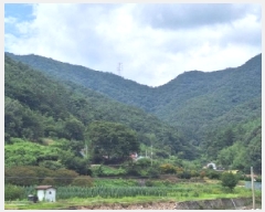  2025Ÿ��51792 ���� ��õ�� ���� �Ǳ��� ��208      ����(�Ӿ�)���