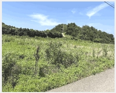  2025Ÿ��51798 ���� ������ ������ ��θ� 405-7      ����(��1)���